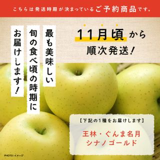 羽山りんご 品種おまかせ（中生）5kgの画像 2枚目