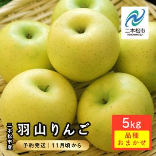 羽山りんご 品種おまかせ（中生）5kg 福島県二本松市のサムネイル画像 1枚目