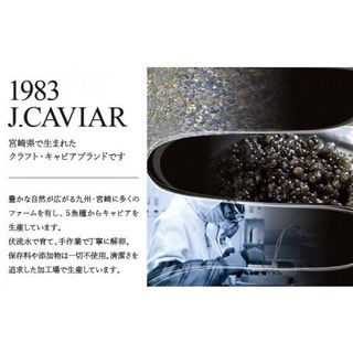  1983 J.CAVIAR バエリ クラシック (12g)ジャパンキャビア_M017-025_02の画像 2枚目