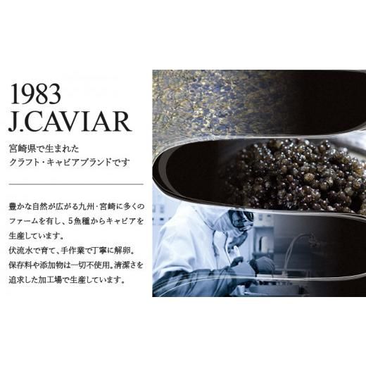  1983 J.CAVIAR バエリ クラシック (12g)ジャパンキャビア_M017-025_02 宮崎県宮崎市のサムネイル画像 2枚目