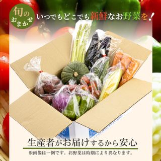 季節の野菜詰め合わせ 長崎県松浦市のサムネイル画像 4枚目