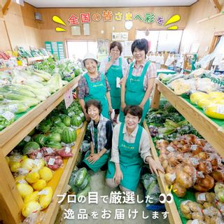 季節の野菜詰め合わせの画像 3枚目