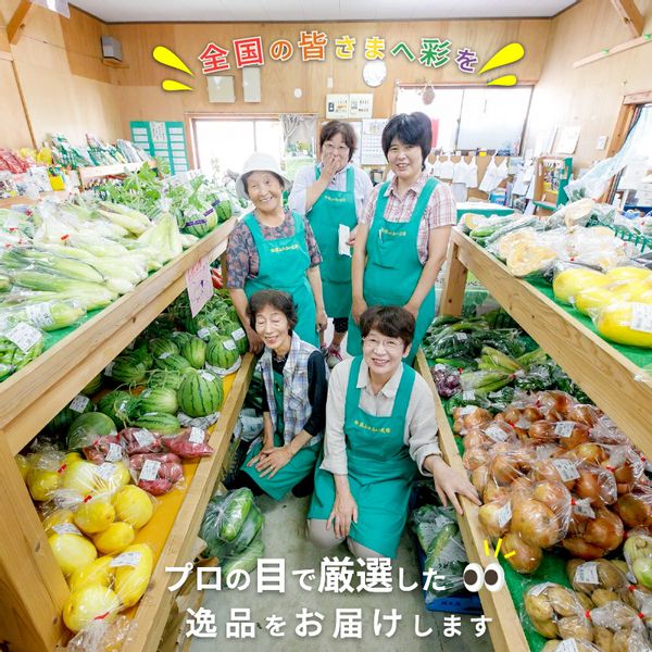 季節の野菜詰め合わせ 長崎県松浦市のサムネイル画像 3枚目