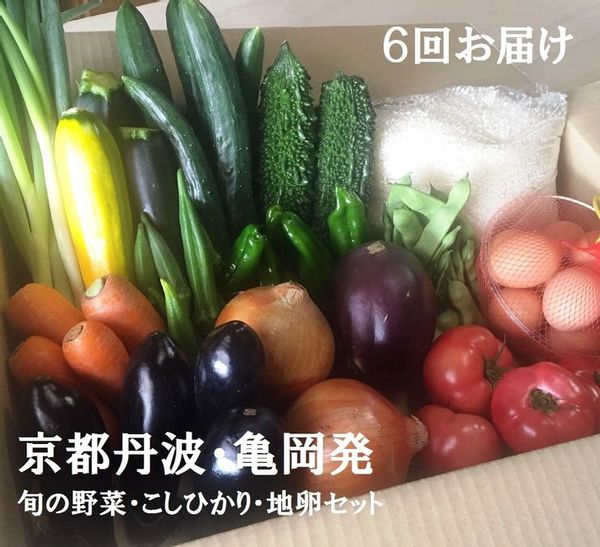 【6回定期便】隔月6回お届け 京都丹波・亀岡発 旬の野菜・こしひかり・地卵 詰め合わせセット 京都府亀岡市のサムネイル画像 1枚目