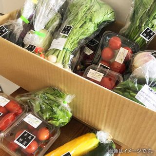 旬を味わう『糸島野菜セット』 福岡県糸島市のサムネイル画像 4枚目