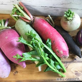 旬を味わう『糸島野菜セット』 福岡県糸島市のサムネイル画像 3枚目