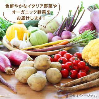 旬を味わう『糸島野菜セット』の画像 2枚目