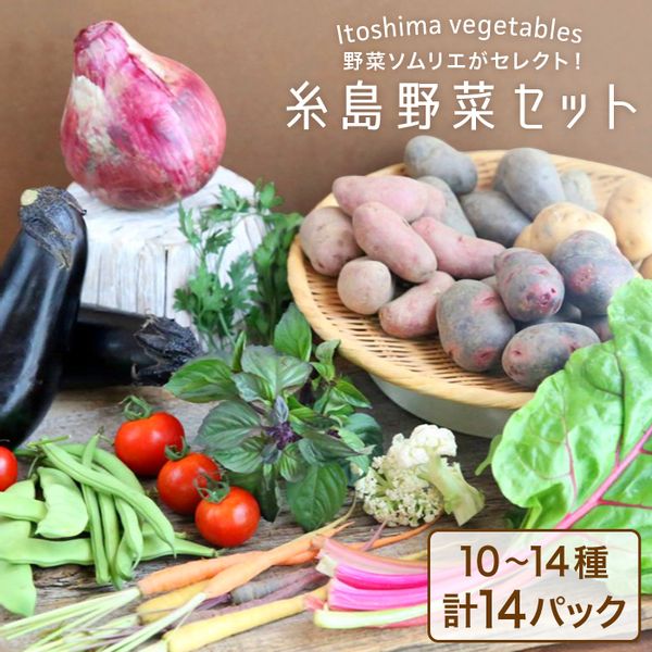 旬を味わう『糸島野菜セット』の画像
