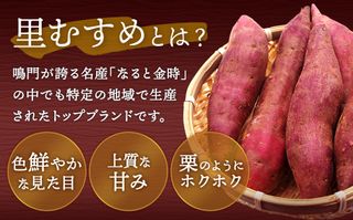 さつまいも なると金時 里むすめ 5kg（ 14 ～ 20本 ） 徳島県鳴門市のサムネイル画像 2枚目