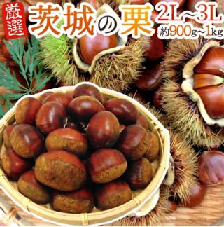 ”茨城の和栗” 秀品 大粒2L～3Lサイズ 約900g～1kg くらし快援隊のサムネイル画像 1枚目