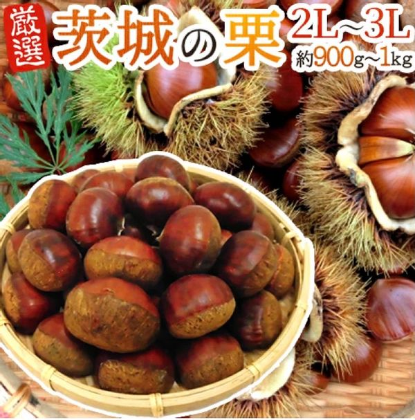 ”茨城の和栗” 秀品 大粒2L~3Lサイズ 約900g~1kgの画像