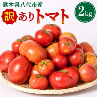 【先行予約】 【訳あり】熊本県八代市産 規格外トマト 2kg 熊本県八千代市のサムネイル画像 1枚目