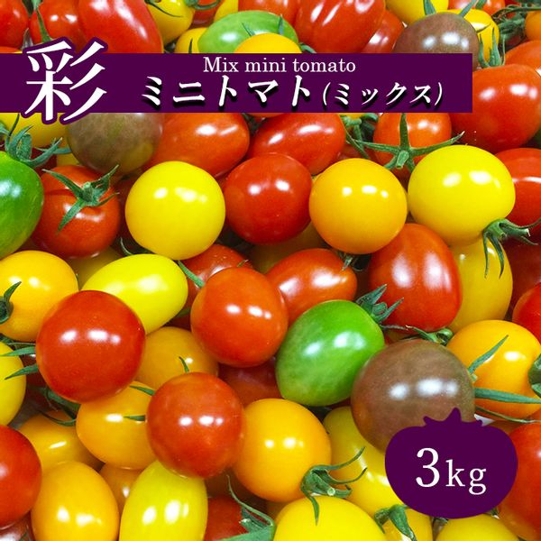 トマト ミニトマト 3kg カラートマト 熊本県玉名市のサムネイル画像 1枚目