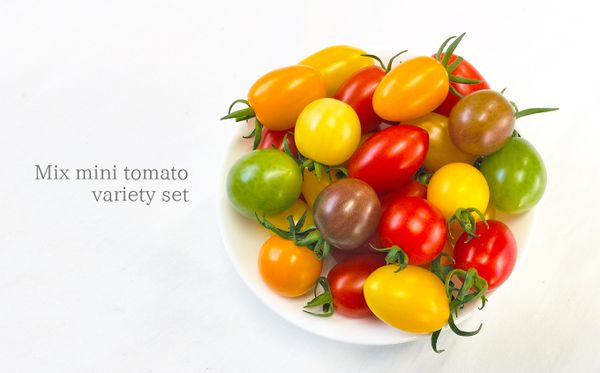 トマト ミニトマト 3kg カラートマト 熊本県玉名市のサムネイル画像 2枚目