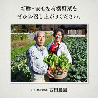  有機JAS認定 サラダ野菜 《 定期便 3ヶ月 》の画像 3枚目