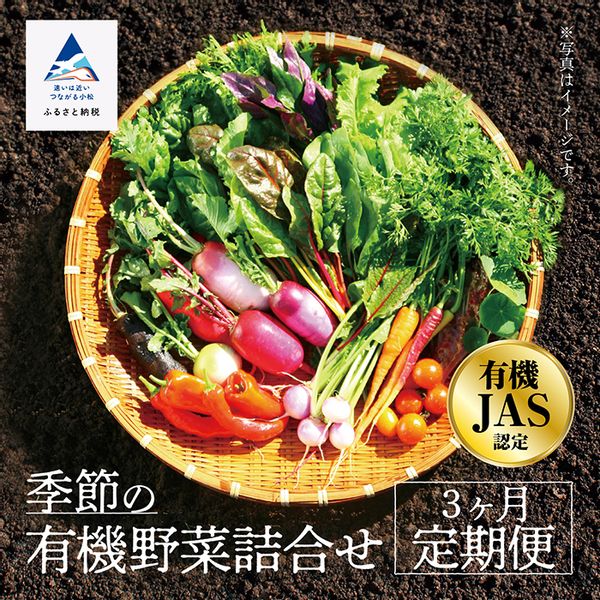  有機JAS認定 サラダ野菜 《 定期便 3ヶ月 》 石川県小松市のサムネイル画像 1枚目