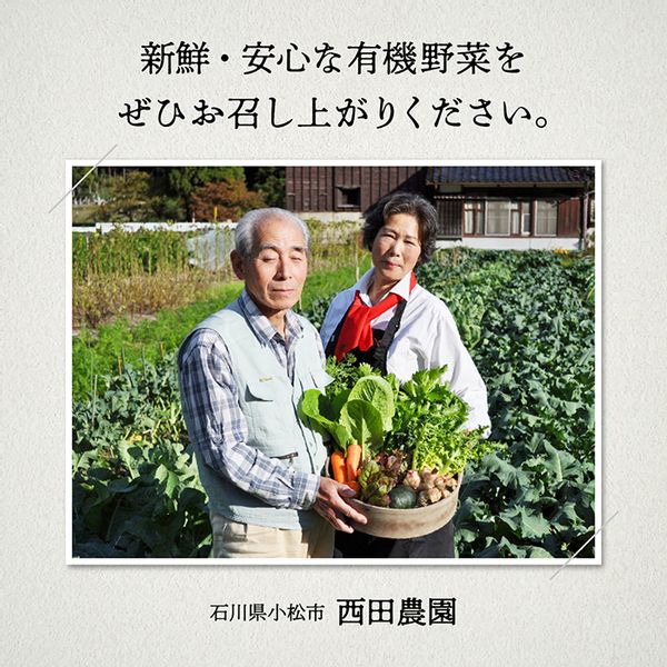  有機JAS認定 サラダ野菜 《 定期便 3ヶ月 》 石川県小松市のサムネイル画像 3枚目