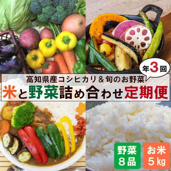 定期便 3回 米 コシヒカリ 5kg 野菜 8品の画像