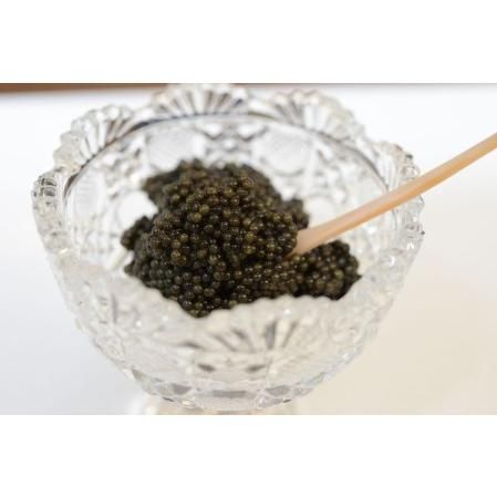中津川キャビア S Caviar 50-002 岐阜県中津川市のサムネイル画像 2枚目