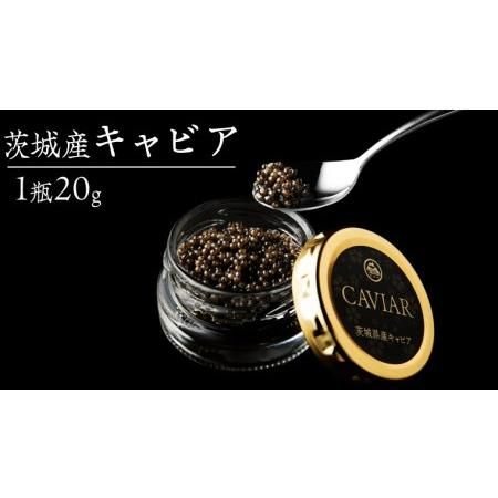 つくばスタージョン キャビア 20g×1 の画像