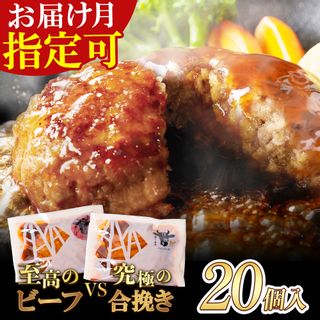 どっちのハンバーグ!?デミグラスソース20個セット（ビーフ・合挽 各10個）  福岡県福智町のサムネイル画像 1枚目