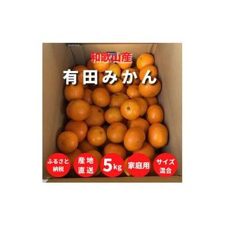  【訳あり 家庭用】 5kg (2S～2Lサイズ混合)ZE6303n 和歌山県湯浅町のサムネイル画像
