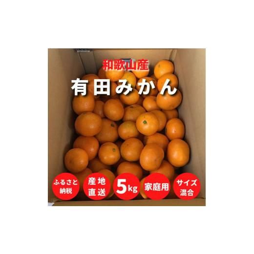  【訳あり 家庭用】 5kg (2S～2Lサイズ混合)ZE6303n 和歌山県湯浅町のサムネイル画像 1枚目