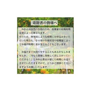 有田みかん「未来への虹」（10kg）(A2-1) 和歌山県有田市のサムネイル画像 3枚目