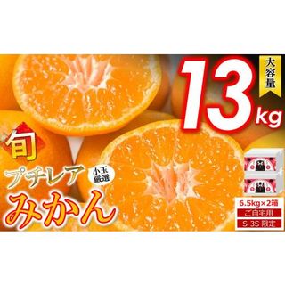 小玉みかん ご家庭用 プチレア 訳ありみかん 13kg 熊本県和水町のサムネイル画像