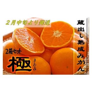 2箱セット 蔵出し熟成みかん『極(きわみ)』 徳島県佐那河内村のサムネイル画像 1枚目