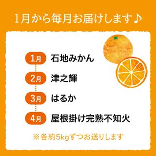 旬の みかん 定期便 長崎県西海市のサムネイル画像 2枚目