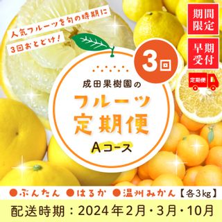 フルーツ定期便Aコース 高知県四万十市のサムネイル画像 1枚目