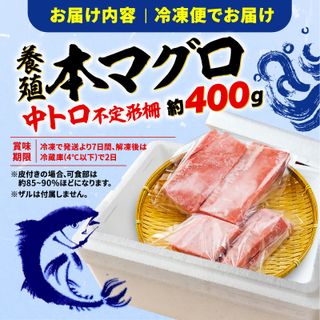 訳あり 本まぐろ 中とろ 刺身用 約400gの画像 2枚目