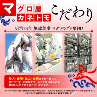 訳あり 本まぐろ 中とろ 刺身用 約400g 静岡県藤枝市のサムネイル画像 3枚目