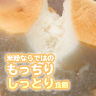 食物アレルギー対応 米粉パンセット【 エルフィン】 CP004-Rの画像 3枚目