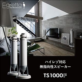 360℃無指向性スピーカー　TS1000F Egretta（エグレッタ）のサムネイル画像 1枚目