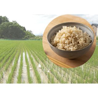 令和5年度米　アイガモ農法ゆめぴりか【スーパー玄米！発芽玄米】 1.8kg(450g×4袋/ガスバリア･脱酸素剤) 【31109】の画像 2枚目