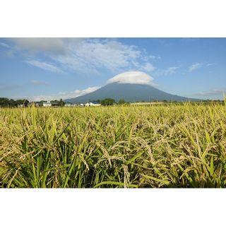 令和5年度米 アイガモ農法ゆめぴりか【スーパー玄米!発芽玄米】 1.8kg(450g×4袋/ガスバリア・脱酸素剤) 【31109】の画像 3枚目