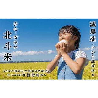 【定期便12ヵ月】〈新米〉令和5年産北斗米ゆめぴりか10kg（5kg×2袋） 北海道東神楽町のサムネイル画像 2枚目