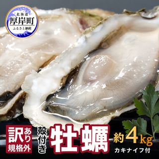 訳あり 殻付カキ生食 約4kg カキナイフ付 北海道厚岸町のサムネイル画像