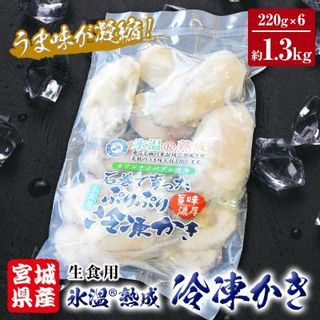 宮城県産 氷温熟成 かき 生食用(冷凍)220g×6袋  宮城県石巻市のサムネイル画像 1枚目