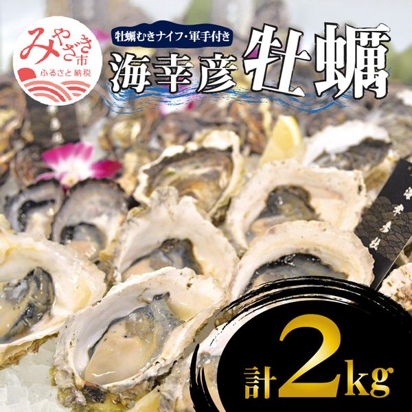 青島産 海幸彦牡蠣 2kg 牡蠣むきナイフ・軍手付きの画像