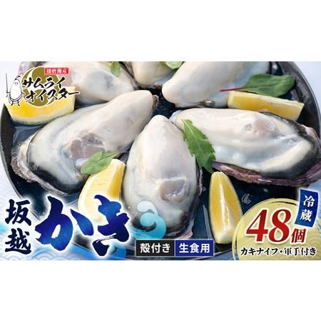 坂越かきサムライオイスター 生牡蠣 の画像