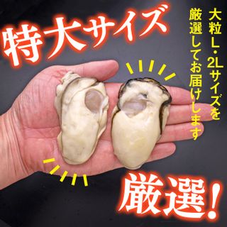 大粒むき身牡蠣 3kgの画像 2枚目