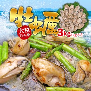 大粒むき身牡蠣 3kg 千葉県長生村のサムネイル画像 1枚目