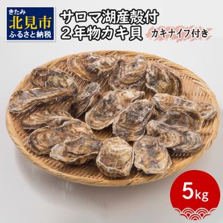 海のミルク サロマ湖産 殻付2年物カキ貝 5kg(35～50個入)の画像 1枚目