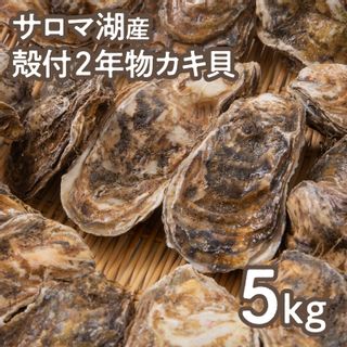 海のミルク サロマ湖産 殻付2年物カキ貝 5kg(35～50個入)の画像 2枚目