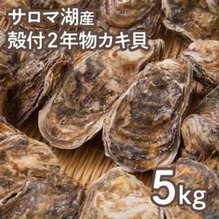 海のミルク サロマ湖産 殻付2年物カキ貝 5kg(35~50個入)の画像 2枚目