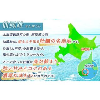 仙鳳趾名産 牡蠣（むき身）500g×2コ  北海道釧路町のサムネイル画像 3枚目