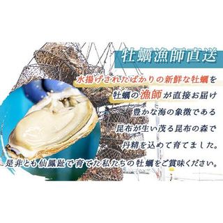 仙鳳趾名産 牡蠣（むき身）500g×2コ  北海道釧路町のサムネイル画像 4枚目